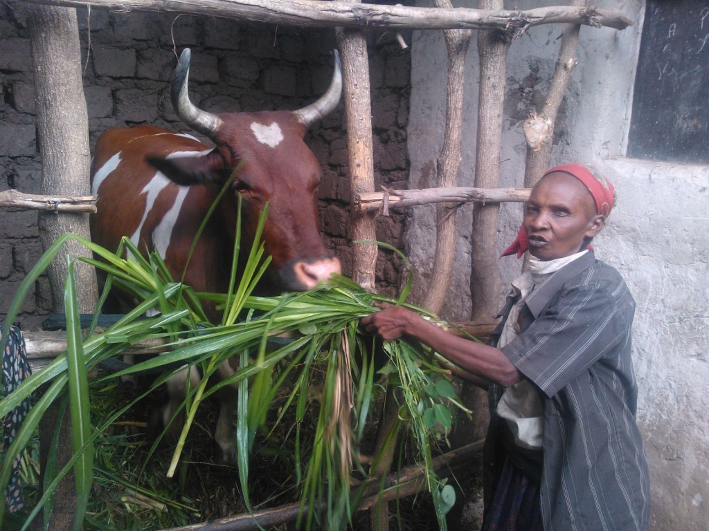 Umukecuru Munganyinka 