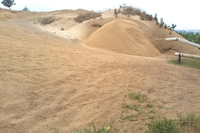 Ibishogoshogo by'umuceri bizakorwamo ibicanwa (Briquette). 