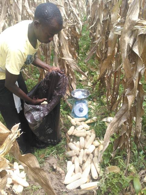 Ibigori Umukozi wa RAB akeneye byo kujya kureberaho ibipimo by'ibyo bashaka.