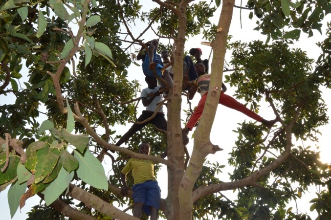 Bamwe bahisemo kujya mu biti ngo barebere yo ibirori nubwo nabyo bitaboroheye.