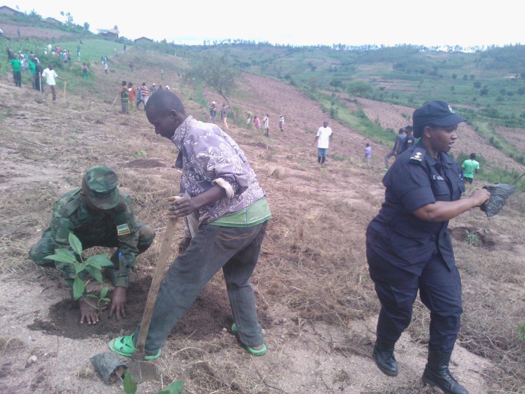 Ingabo z'u Rwanda zifatanije n'abaturage gutera ibiti mu gikorwa cy'umuganda.