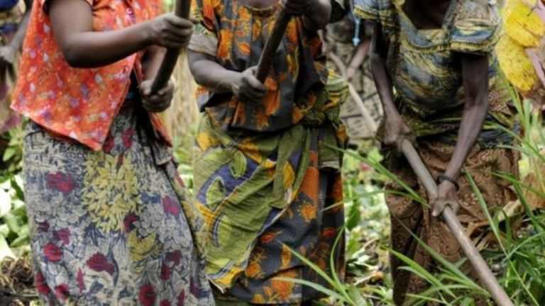 Umuti ugarurira ubusugi ababutakaje wabonetse Kongo
