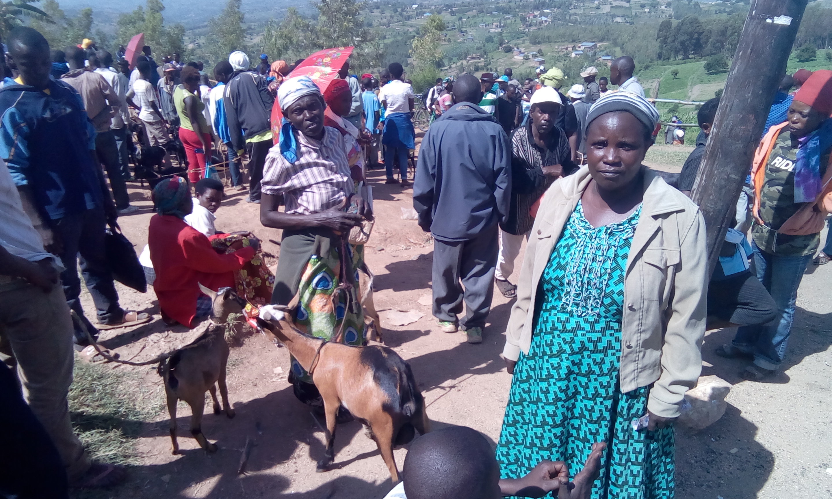 Ikigo cy’Igihugu cy’imisoro n’amahoro RRA cyahesheje agaciro iteka rya perezida rishyiraho amahoro yo mu isoko