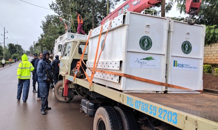 Pariki y’Akagera yongeye kwakira Inkura 8 ziyongera kuzo iherutse kwakira