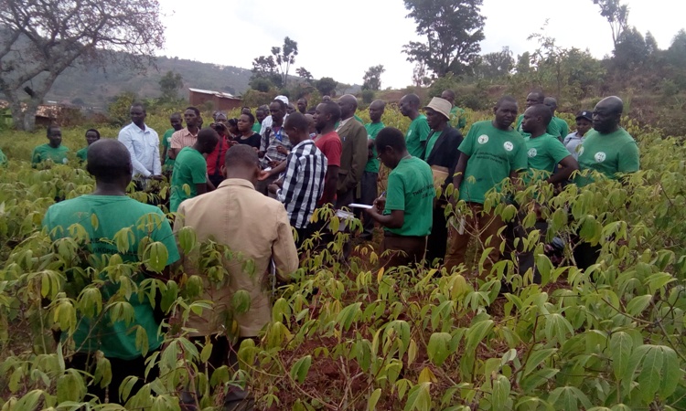 Kamonyi: Abajyanama mu buhinzi bategereje asaga Miliyoni 12 barashoye atarenga ibihumbi 800