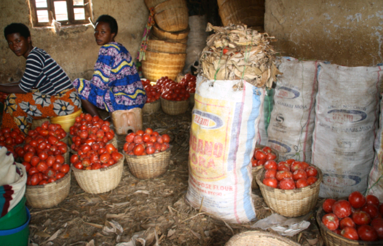 Rusizi: Kutagira isoko rihoraho bitera igihombo abahinzi b’inyanya 