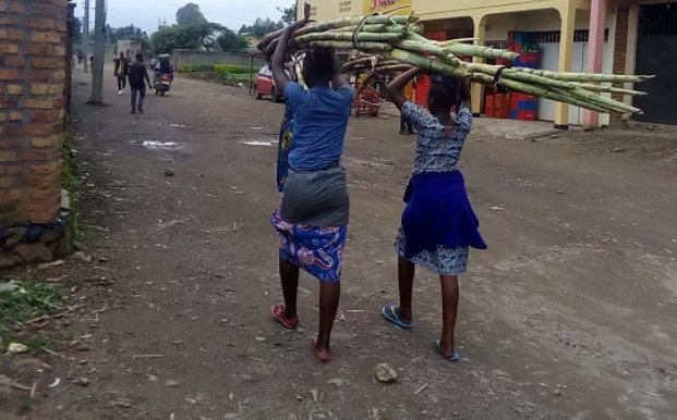 Gakenke: Abana 13 basanzwe mu mirimo inyuranije n’amategeko